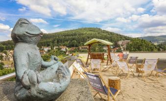 Schwarzwald Panorama