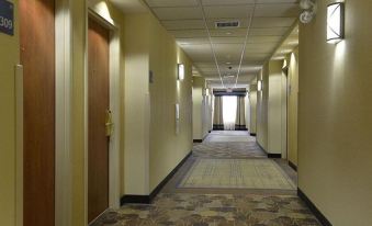 Spark by Hilton Guelph