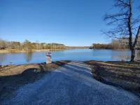 Birdwatchers Paradise: Secluded Cabin in the Woods on 4 acres