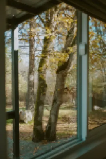 Little Wolf Tiny Home cozy, pet friendly, secluded