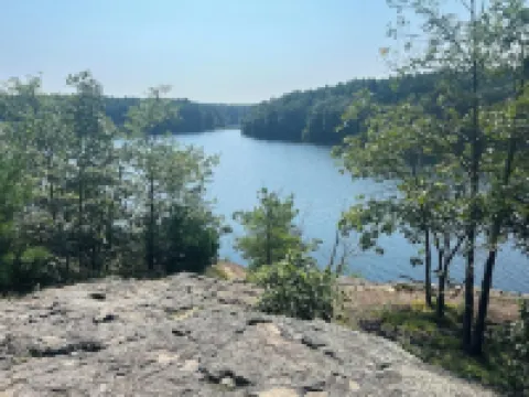 Garden Studio, access to I-93 to Airport, Tufts U, Hiking & Chevalier Theater.