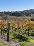 Vineyard Views, Ideal westside location near Wineries & downtown Chic 2bed/2bth