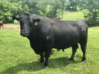 Cozy Farmhouse near Mammoth Cave on 45+ acre animal farm