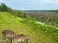 Gites de Charme 18 Personnes Avec Tennis Dans un Parc de 2 ha . Idéal Familles