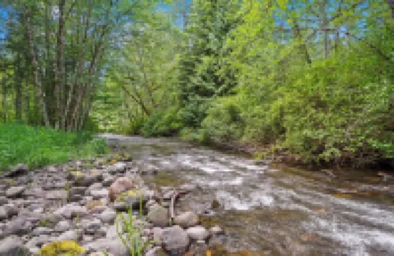 Secluded River Front Cabin @ Mt Rainier w/ Hot Tub