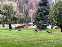 Clean cozy cabin within 1/2 mile of 2 lakes and 100’s of sq miles of wilderness.