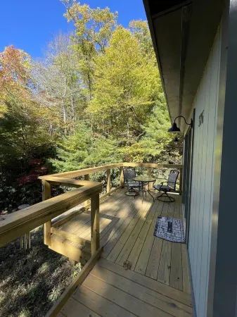 Twin Oaks at Linville, Private, Newly remodeled! Отели рядом с достопримечательностью «Christmas Tree Hill Garden Center»