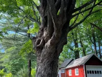 Historic Schoolhouse No. 11Upstate Hudson Valley - Catskill Getaway Hotels in Marbletown