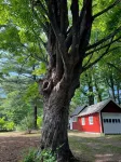 Historic Schoolhouse No. 11Upstate Hudson Valley - Catskill Getaway