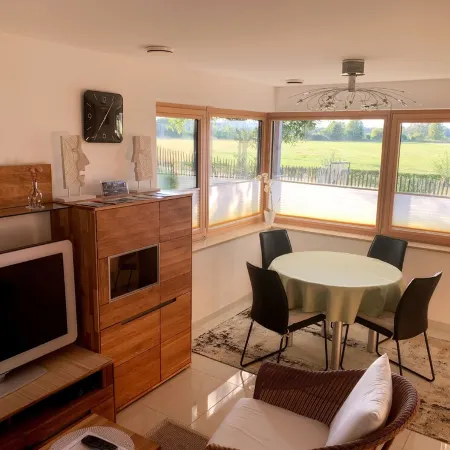 High quality apartment with SHI health pass