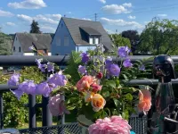 Stilvolles Ferienhaus, Ruhig und Dennoch Zentral Gelegen Hotels in Mayen
