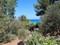Sant Ambroggio Villa 4