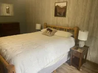 Newly remodeled cabin on quiet lake w/no public access in Spooner, WI.
