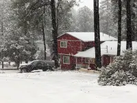 Cozy Cabin in the Woods perfect for families!