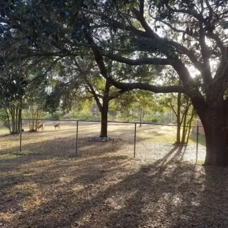 Beautiful Relaxed Sebring Home.