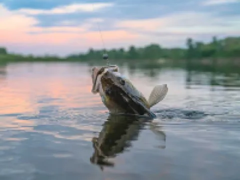 See the best of Michigan's Upper Peninsula in this Family Ready Lake-side Cabin Hotels in Luce County