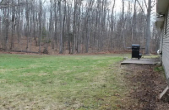 Deer-View Cabin - Remodeled Cabin with Spacious Yard and Cozy Living