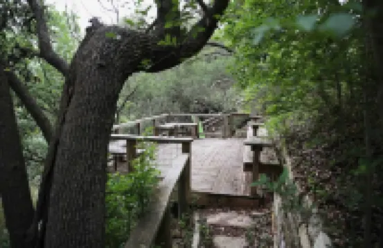 Dos Pinos Riverside Cottage near DT Kerrville - 4つ星