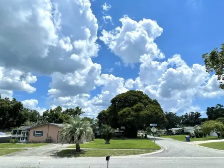 Curly Sunshine – Spacious 4Br, 2Bath Retreat in the Heart of Clearwater, Florida