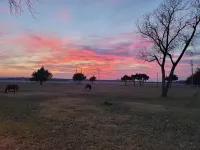 Ranch at Lake Ray Roberts - 10 Acres walk to lake 4 Bed 2 Bath