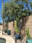 Tranquil Oasis! 3 Bdrm Home with No Fee Heated Pool- Hot Tub!  Great Location!!
