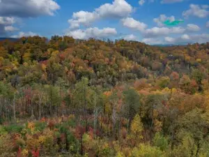2021 Cabin - Gorgeous Fall Views, GameRm, HotTub, Xbox, Bears, Gatlinburg 10Min & Ober 5Min