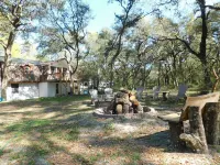 Country living at it's best! Rustic 1908 Barn nestled on 2.5 acres of old oaks