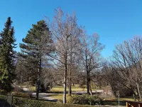 Apartment "Old Rose" - new apartment in the heart of Garmisch am Kurpark