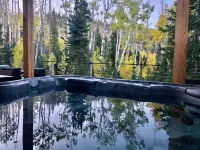 Ski-access and view Chair 5 runs from cabin in Brian Head, UT