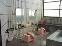 Kusatsu Onsen Tajimaya Ryokan Hotels in Agatsuma District