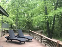 House in the Trees