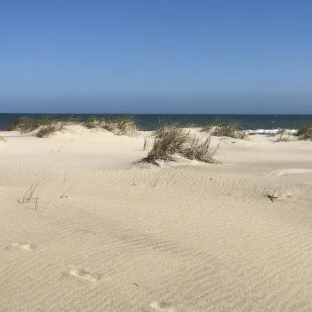 Delightful Oceanside Home Steps to Tranquil Beach: Soak up the Sun and Seabreeze