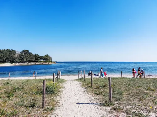 Charme de Banastère