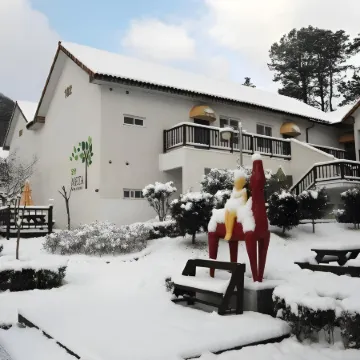 Meta Provence Pension, DamYang