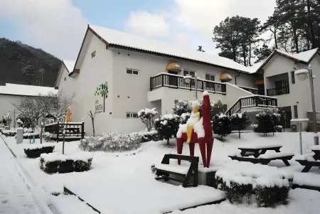 Meta Pension, DamYang