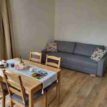 City Center Apartments - Moderna Brno Římské náměstí IV Rooms