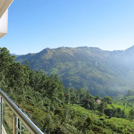 Amber Dale Luxury Hotel & Spa, Munnar