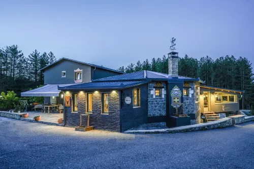 Pindos Resort Hotel a Metsovo