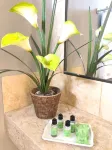 Ibiza Boutique Hotel Cumbuco