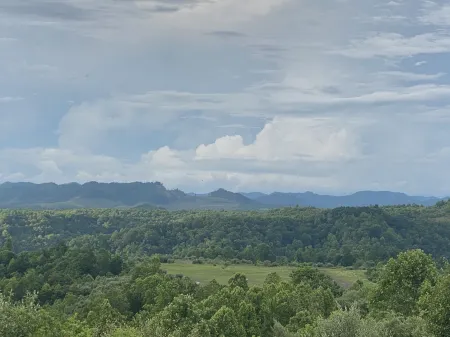 Fox Run Resort Отели в г. Магнолиа