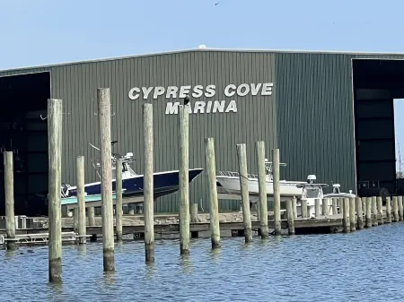 Reel Therapy 3 bedroom houseboat Отели в г. Плакеминс Пэриш