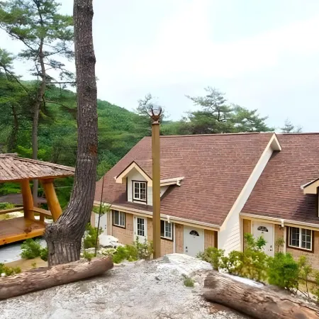 Wonju Sarichi Land in Forest Pension