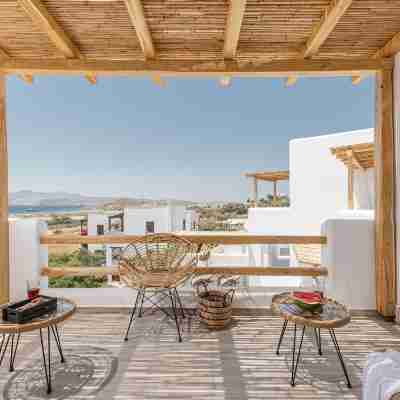 Naxos Contelibro Others