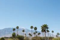 Aqua Soleil Hotel and Mineral Water Spa Hotels in Desert Hot Springs