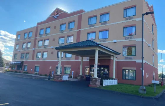 舒適酒店-斯普林菲爾德東温莎市