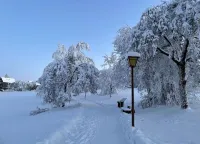 Wald-Ferienwohnung in Wildemann