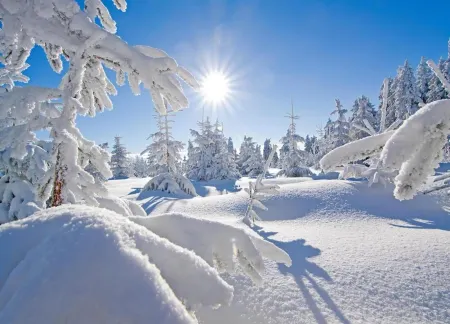 Beautiful Apartment in a Spa Resort, Only 2,5 km from the Jáchymov Chairlift - Keilberg