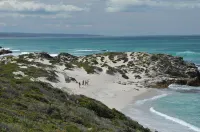 De Hoop Village Cottages Hotels in Cape Agulhas
