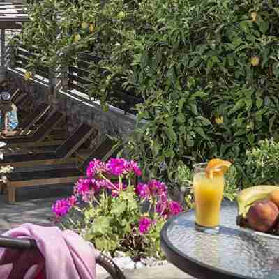 Vassilis Guest House Hotel Exterior