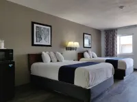 ซีดาร์โคฟ